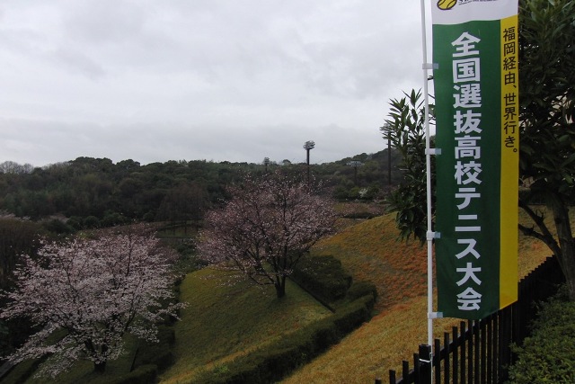 32_3_24_04.JPG - 今日の桜